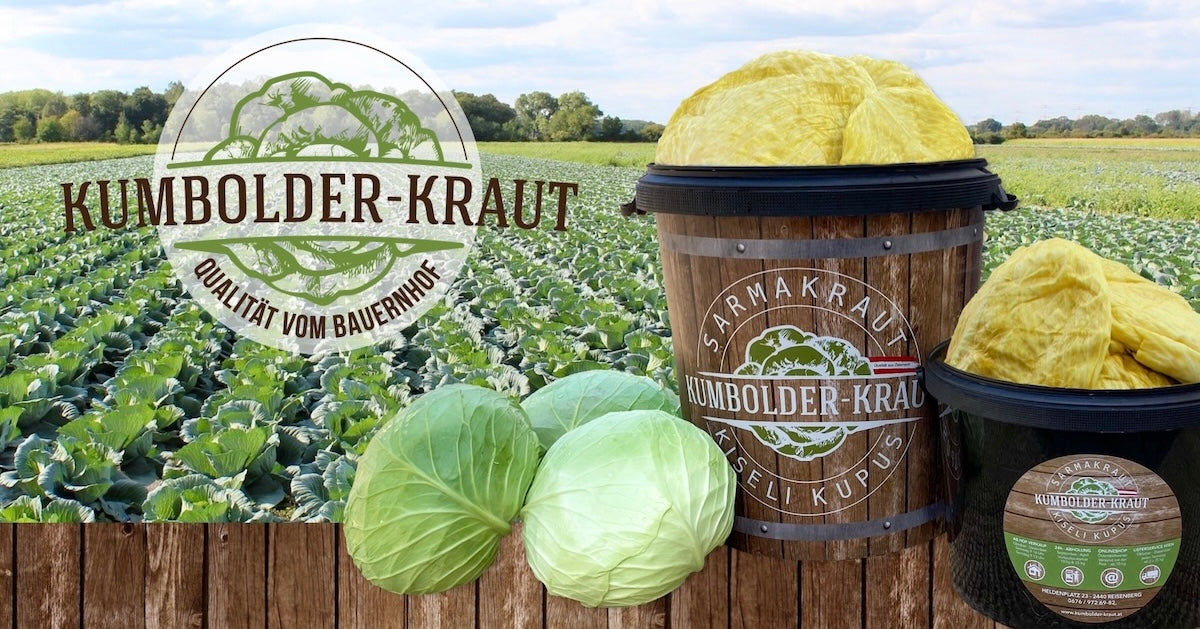 Kumbolder-Kraut